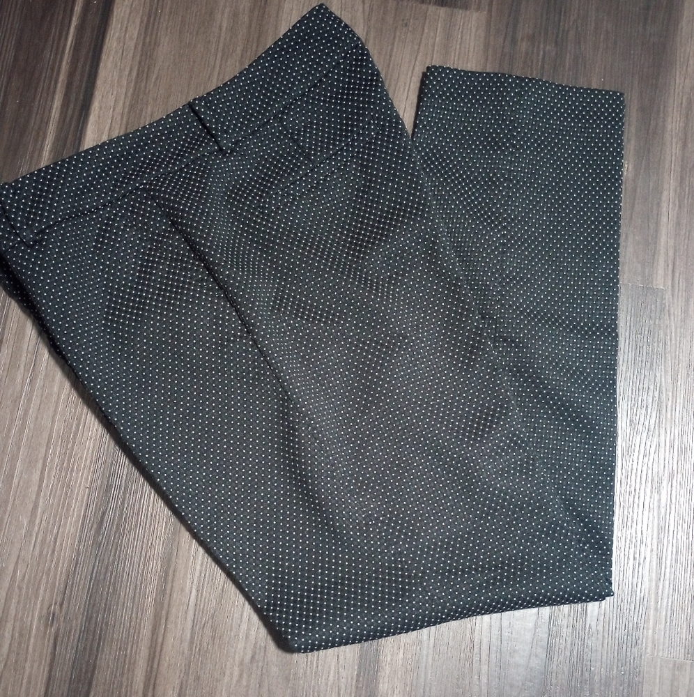 Ann Taylor Navy Polka Dot Blue Pants - Picture 2 of 8